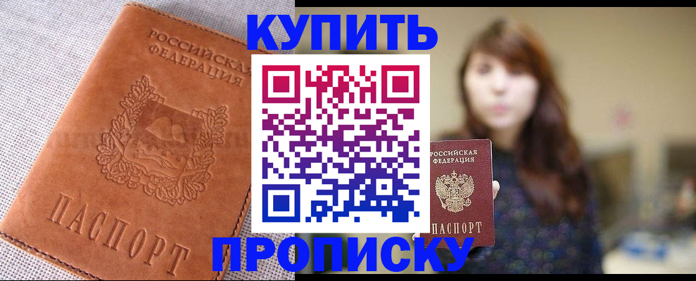 прописка поиск в Камышине